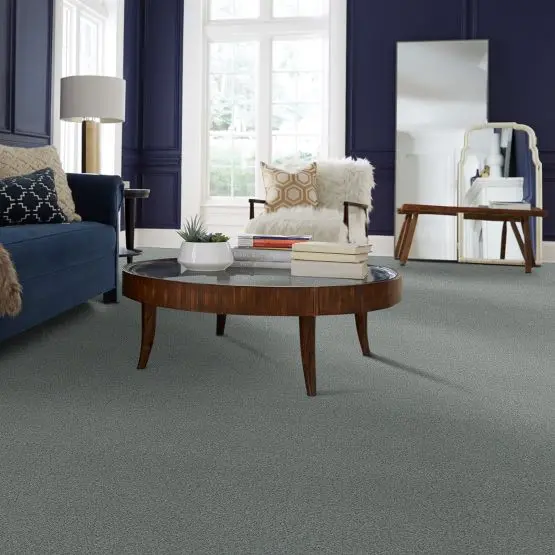 PHL.DESIGN.TIME Shaw Design Time Carpet-2