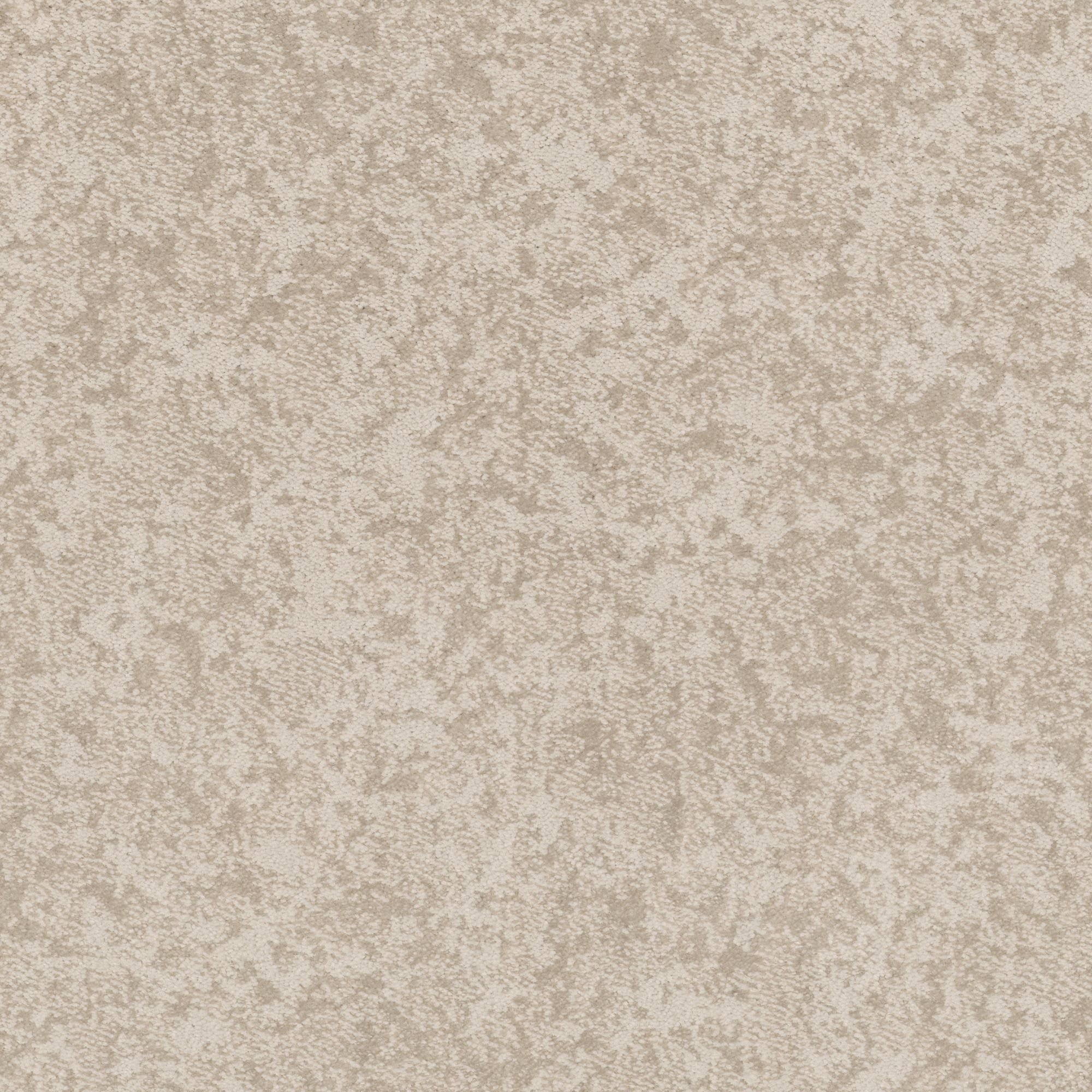 PHL.WELL.MINDED Shaw Well Minded Carpet-1