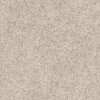 PHL.WELL.MINDED Shaw Well Minded Carpet
