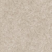 PHL.WELL.MINDED Shaw Well Minded Carpet-1