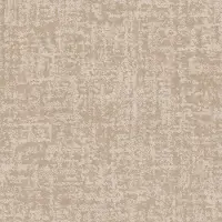 PHL.STAR.GAZE Shaw Star Gaze Carpet