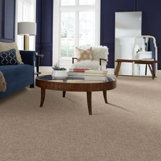 PHL.STAR.GAZE Shaw Star Gaze Carpet-2