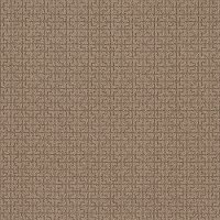 PHL.LIGHT.IT.UP Shaw Light It Up Carpet