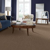 PHL.LIGHT.IT.UP Shaw Light It Up Carpet-2