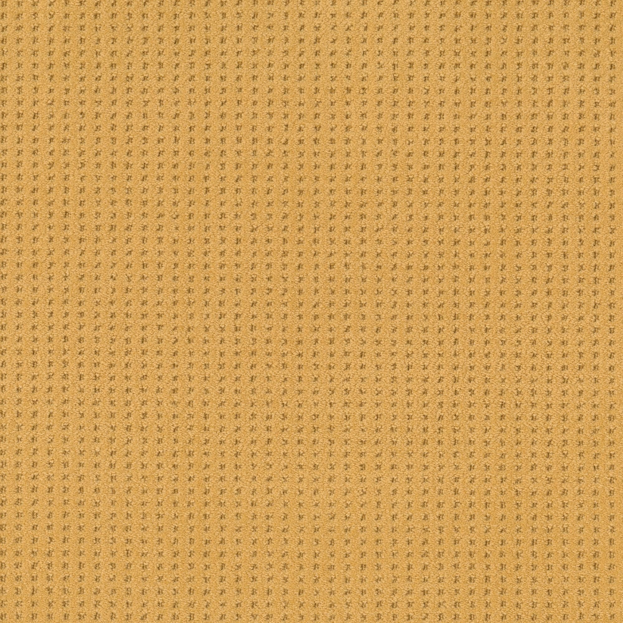 PHL.LINVALE Shaw Linvale Carpet-1