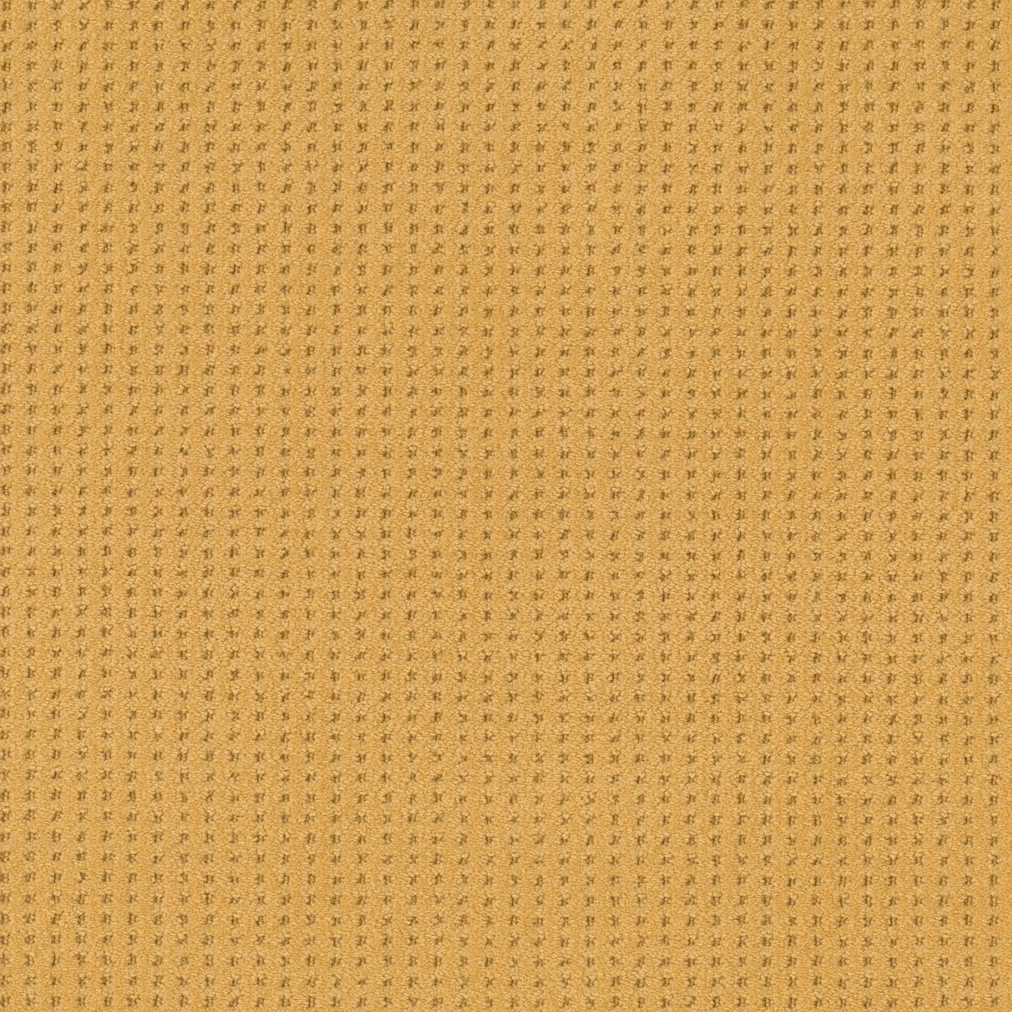 PHL.LINVALE Shaw Linvale Carpet-1
