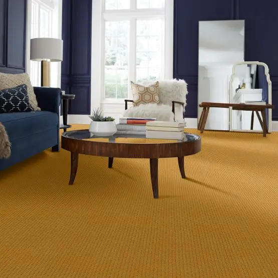 PHL.LINVALE Shaw Linvale Carpet-2