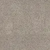 QUE.QUIET.EXCUSE Shaw Quiet Excuse Carpet