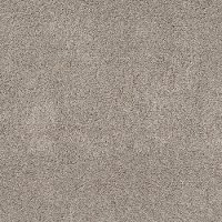 QUE.QUIET.EXCUSE Shaw Quiet Excuse Carpet-1