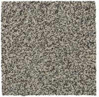MHK.NATURES.ALLURE.I Mohawk Natures Allure I Carpet