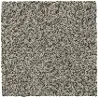 MHK.NATURES.ALLURE.II Mohawk Natures Allure II Carpet