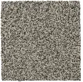 MHK.NATURES.ALLURE.II Mohawk Natures Allure II Carpet