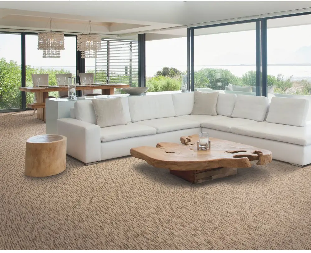 KAR.DELICATE.STRUCTURE Karastan Delicate Structure Carpet-2