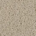 KAR.TRADITIONAL.CHIC Karastan Traditional Chic Carpet