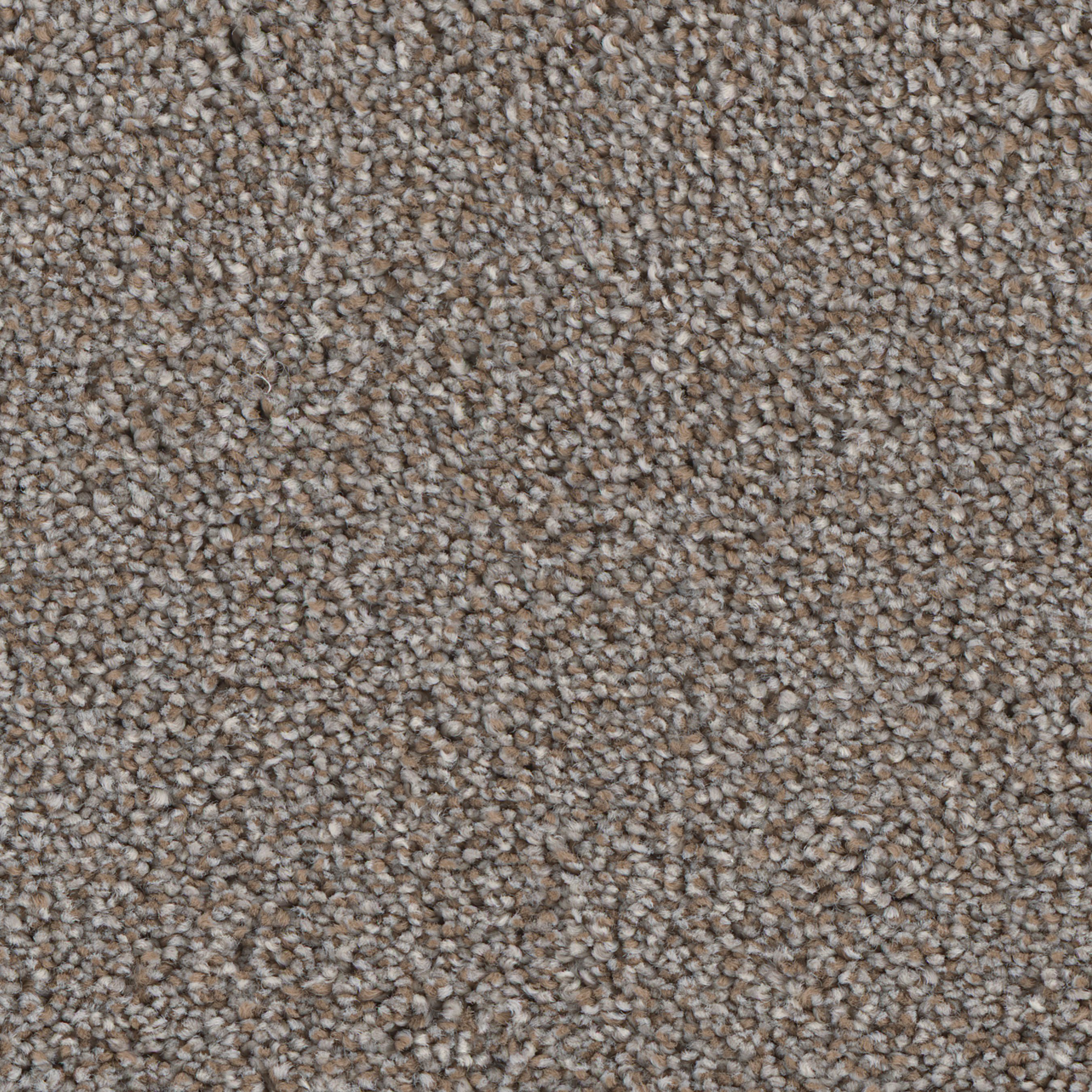 PHN.LUSH Phenix Lush Carpet-1