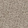 Peerless Stainmaster Bolanzo Carpet