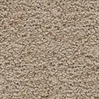 Peerless Foggia Carpet