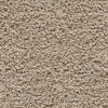 Peerless Stainmaster Foggia Carpet