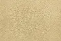 BRE.DEBUT.STOCK Dixie Home Stain Protection Debut Carpet