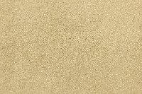 BRE.DEBUT.STOCK Dixie Home Stainmaster Debut Carpet