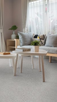 BRE.DEBUT.STOCK Dixie Home Stainmaster Debut Carpet-2