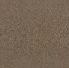 DSW.TERRA.NOVA.STOCK Tuftex Terra Nova Carpet