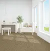 BRE.GUARD.STOCK Dixie Guard Carpet