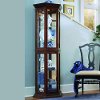Nut Brown Hex Curio