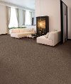 Beaulieu Showcase Carpet
