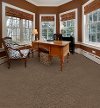 Dixie Home Dom Perigon Carpet