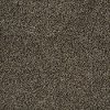 Tuftex Ambrosia Carpet