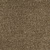 Tuftex Swept Away Carpet