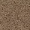 Karastan Wish Come True Carpet