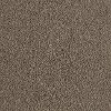 Mohawk Vibrant History Carpet