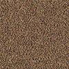 Mohawk Port Charles Carpet