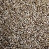 Phenix Olympia Carpet