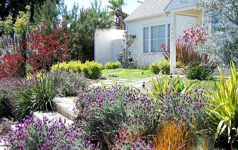 What is Xeriscaping? | RC Willey Blog