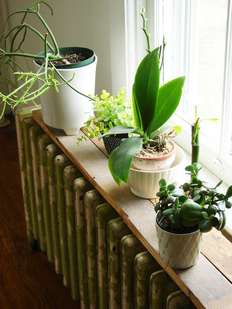 radiator shelf