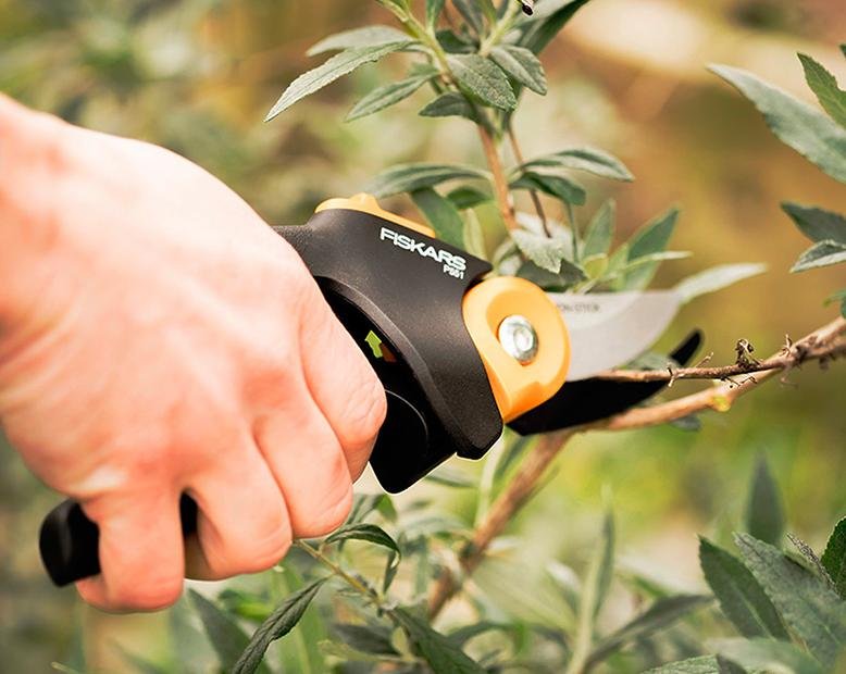 pruning shears