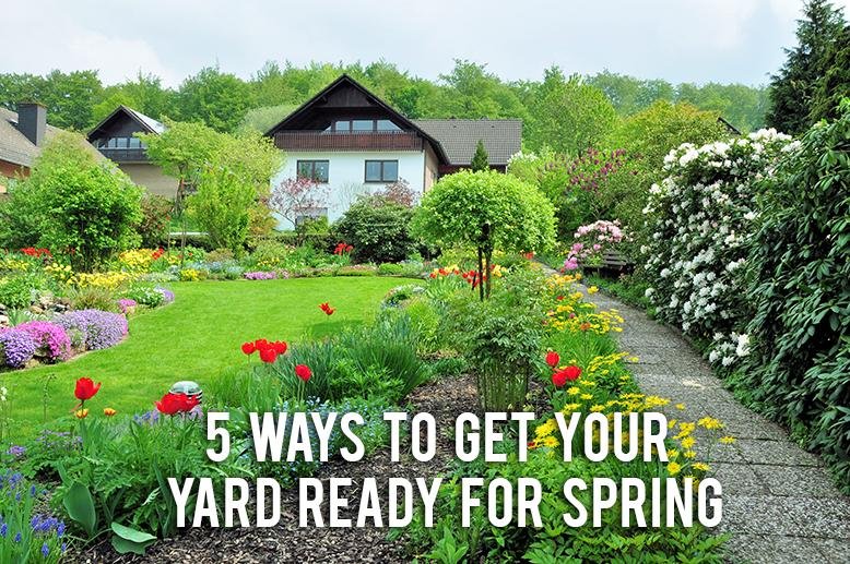 Yard Ready for spring