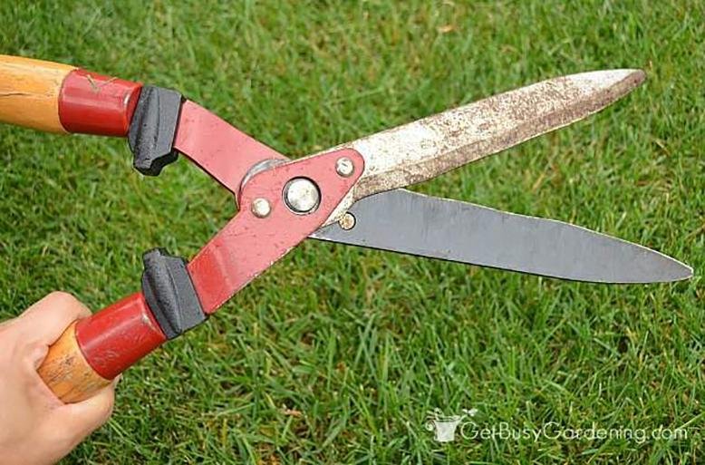 pruning shears