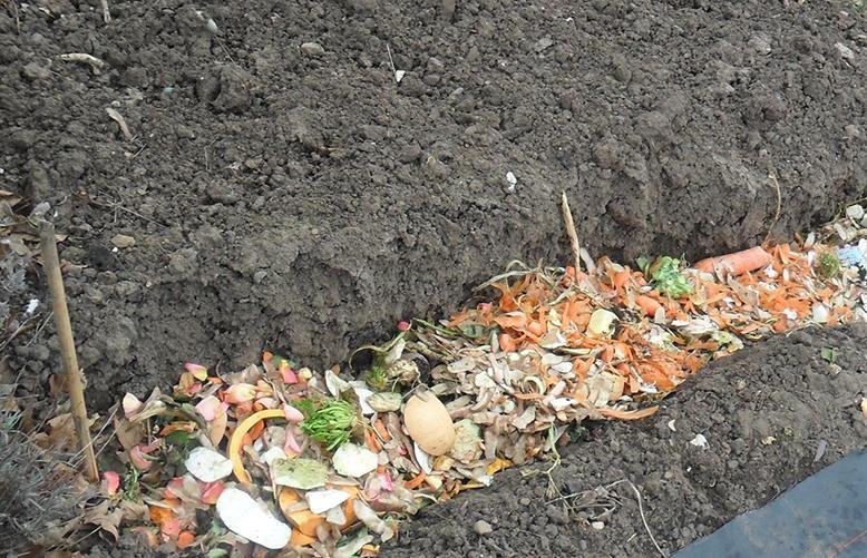 trench composting