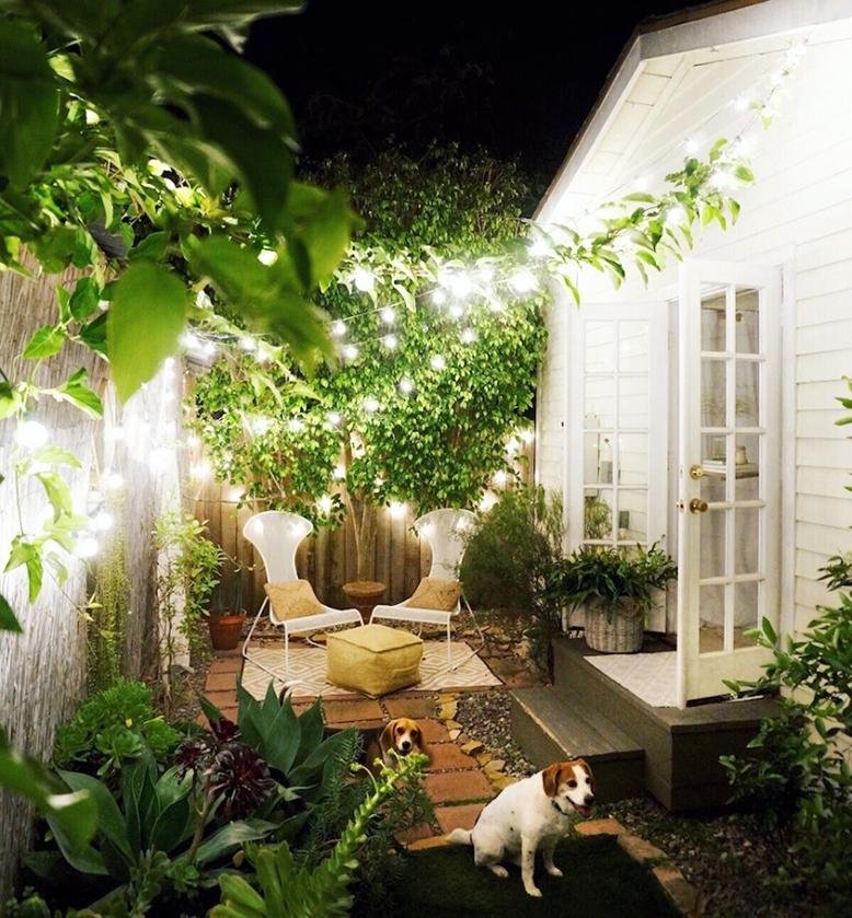 small backyard