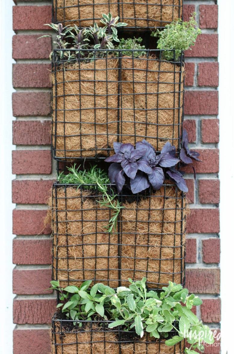 vertical garden