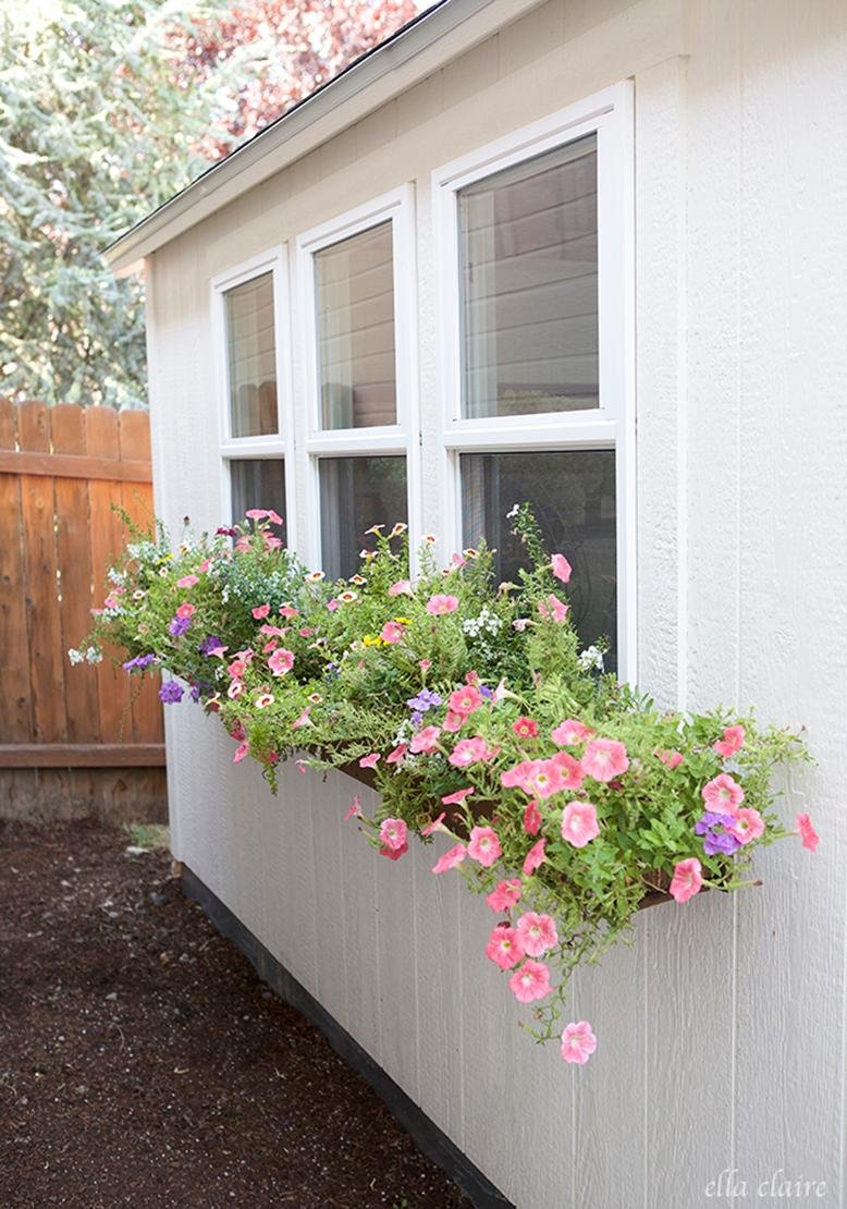 window boxes