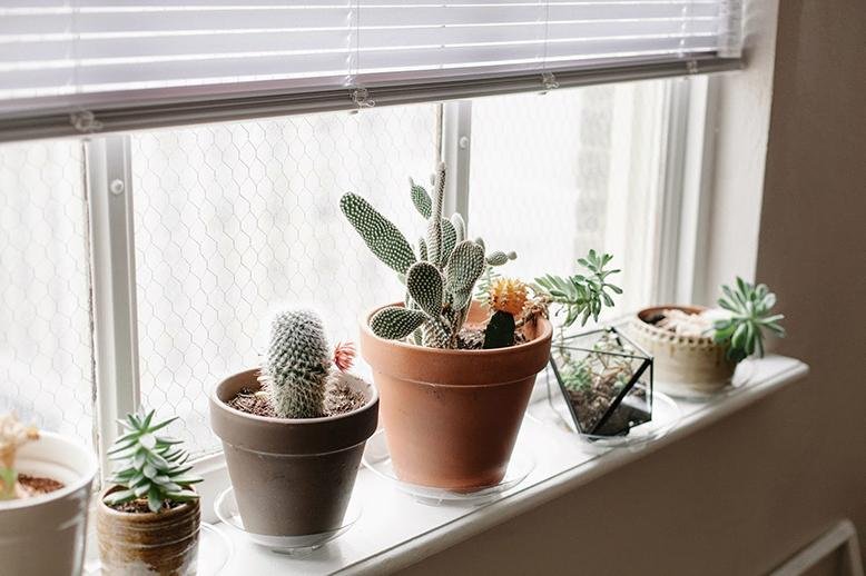 window sill