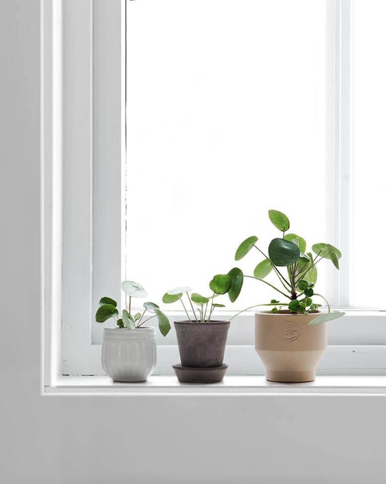 window sill