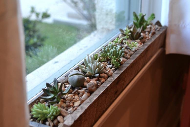 window sill