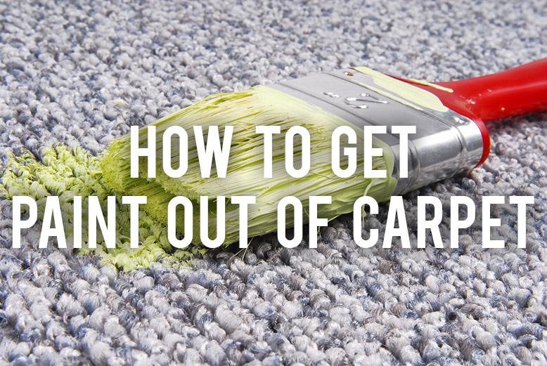 how-to-get-paint-out-of-carpet-rc-willey-blog