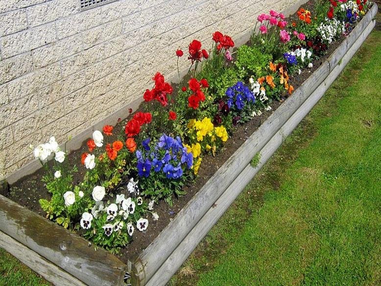 Flower Bed Ideas | RC Willey Blog on Annual Flower Bed Designs
 id=72217